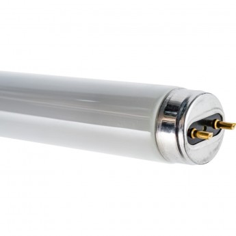 Лампа линейная люминесцентная OSRAM ЛЛ 36вт L 36/640 G13 белая